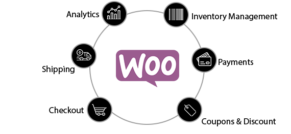 setup and manage your wordpress ecommerce store with Plugmatter ecommerce website experts